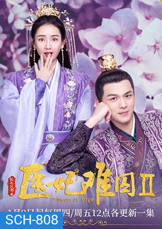 Princess at Large 2 พระชายาลอยนวล 2