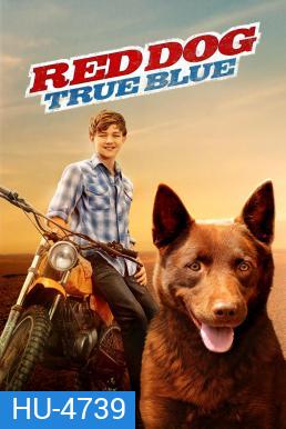 Red Dog: True Blue (2016)
