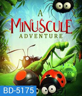 A Minuscule Adventure (2018)