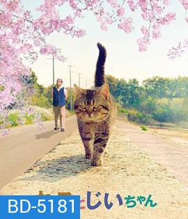 The Island of Cats (2019) แมวเหมียวกับคุณลุง