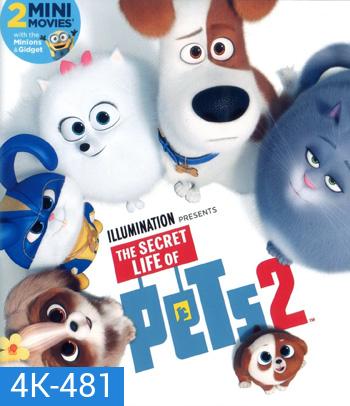 4K - Secret Life of Pets 2 (2019) เรื่องลับแก๊งขนฟู ภาค 2 - แผ่นหนัง 4K UHD