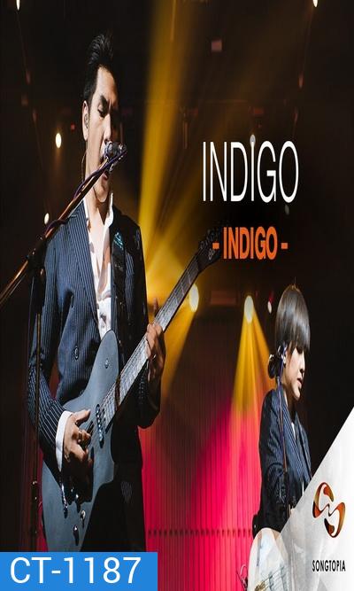 Songtopia Livehouse By AIS PLAY Present FRIENDEVER Colorpitch และ Indigo