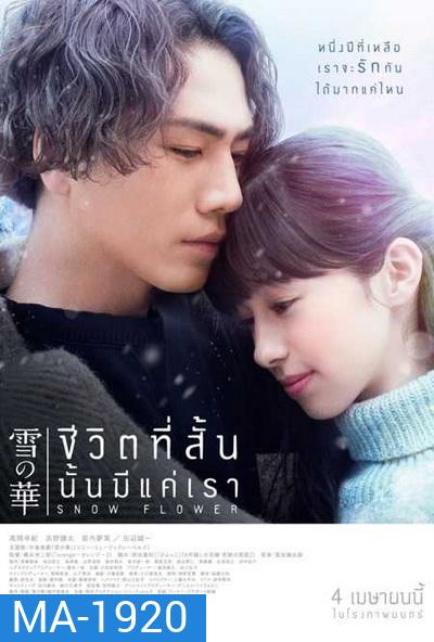 Snow Flower ชีวิตที่สั้นนั้นมีแค่เรา