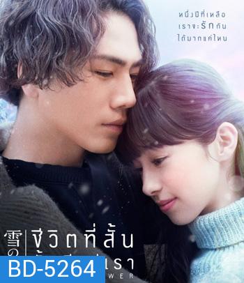 Snow Flower (2019) ชีวิตที่สั้น นั้นมีแค่เรา