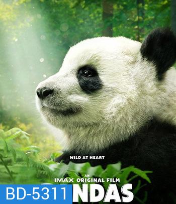 Pandas (2018)
