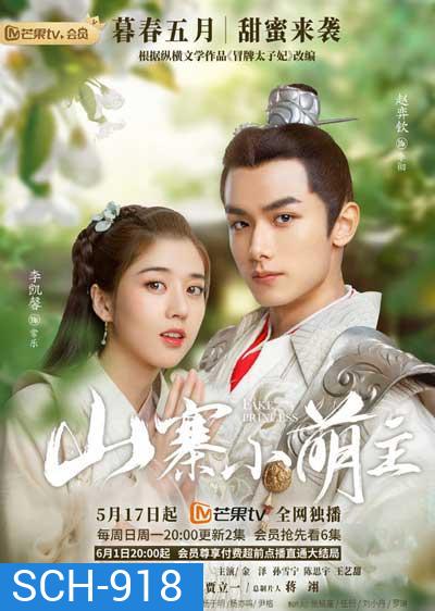Fake Princese (2020) พระชายากำมะลอ (1-27 จบ)