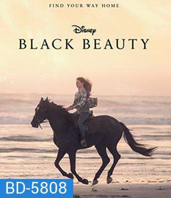 Black Beauty (2020)