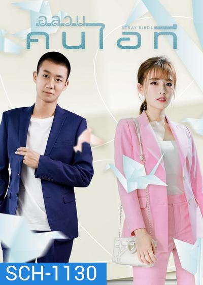 Stray Birds 2021 อลวนคนไอที ( Ep.01-40 จบ )