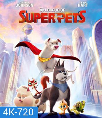 4K - DC League of Super-Pets (2022) ขบวนการซูเปอร์เพ็ทส์ - แผ่นหนัง 4K UHD