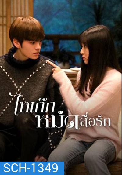 Sweet Tai Chi (2019) ไทเก๊กหมัดสื่อรัก (24 ตอนจบ)