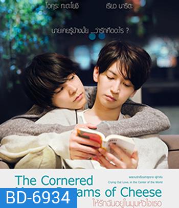 The Cornered Mouse Dreams of Cheese (2020) ให้รักฉันอยู่ในมุมหัวใจเธอ
