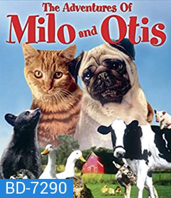 The Adventures of Milo and Otis (1986) แมวจ๋าหมาอยู่นี่