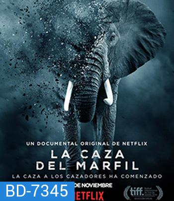 The Ivory Game ( 2016) สงครามงาช้าง