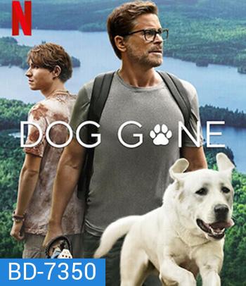 Dog Gone (2023) หมาหลง