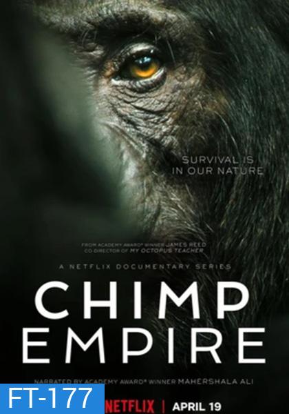 อาณาจักรซิมแปนซี (2023) Chimp Empire