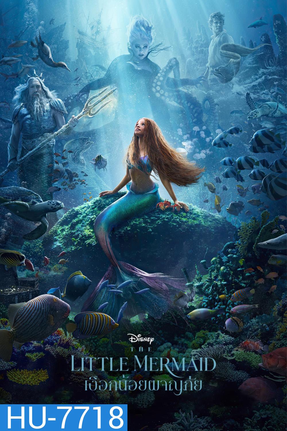 (Zoom ซูม) The Little Mermaid (2023) เงือกน้อยผจญภัย (ดูภาพตัวอย่างด้านใน)
