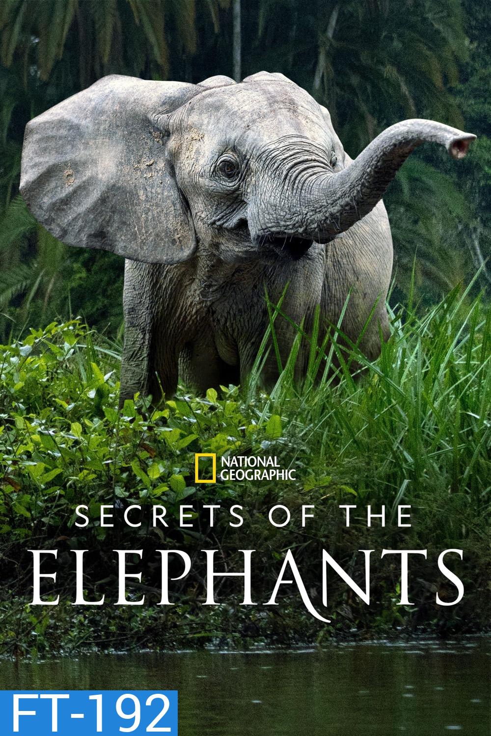 Secrets of the Elephants (2023) 4 ตอน