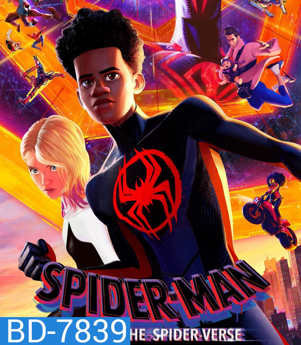 [ชนโรง! + V.3] Spider-Man: Across the Spider-Verse (2023) สไปเดอร์-แมน: ผงาดข้ามจักรวาลแมงมุม (ดูภาพตัวอย่างด้านใน)