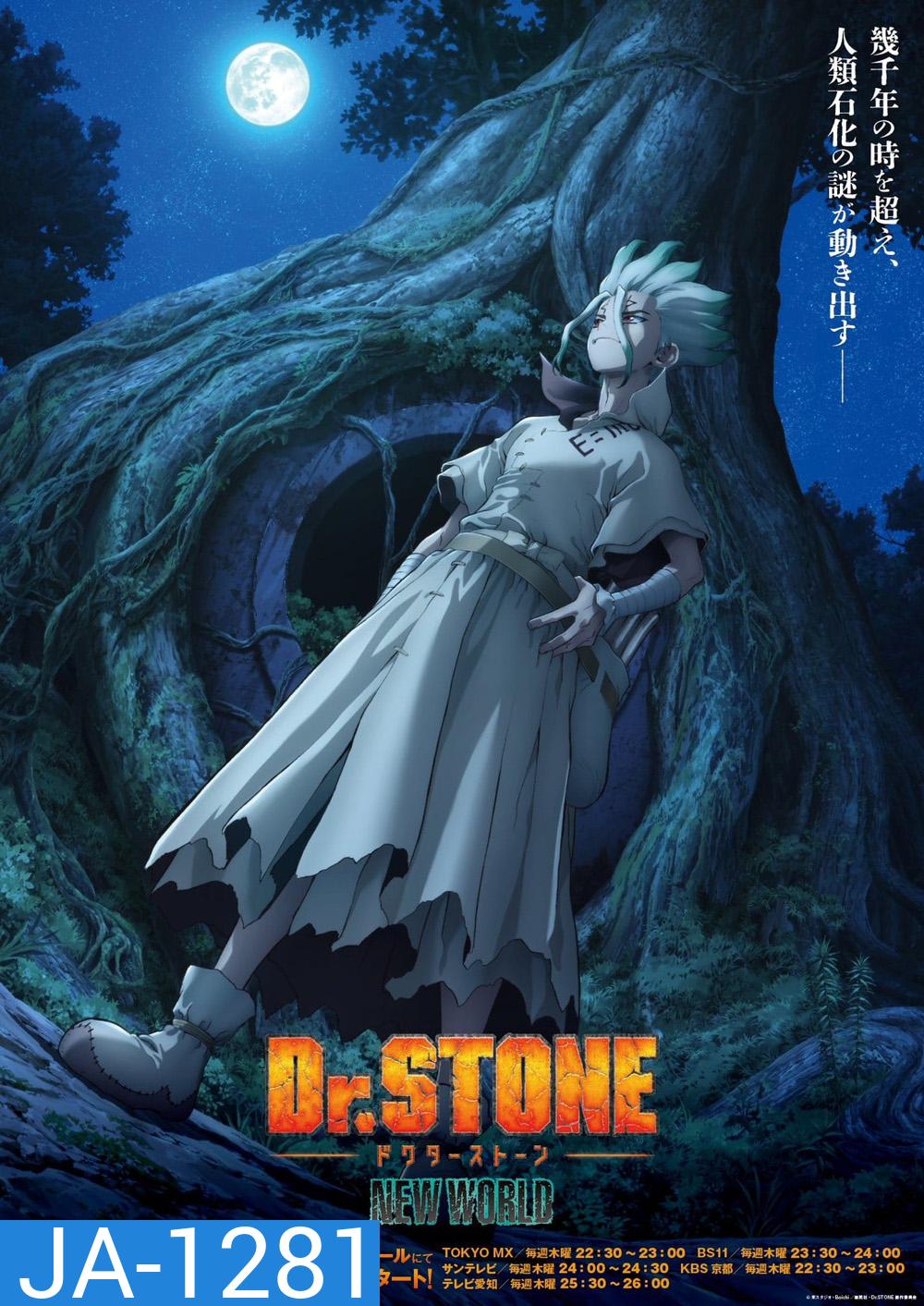 Dr. Stone : New World ดร.สโตน เจ้าแห่งวิทยาศาสตร์กู้คืนอารยธรรมโลก 3 (ตอนที่ 1-11)