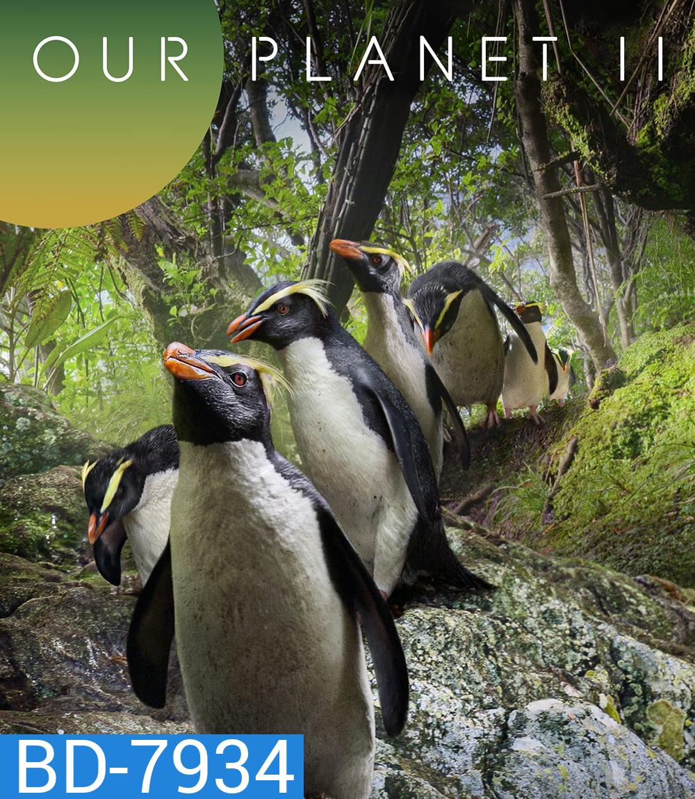 Our Planet (2023) Season 2 (ภาพ HDR)