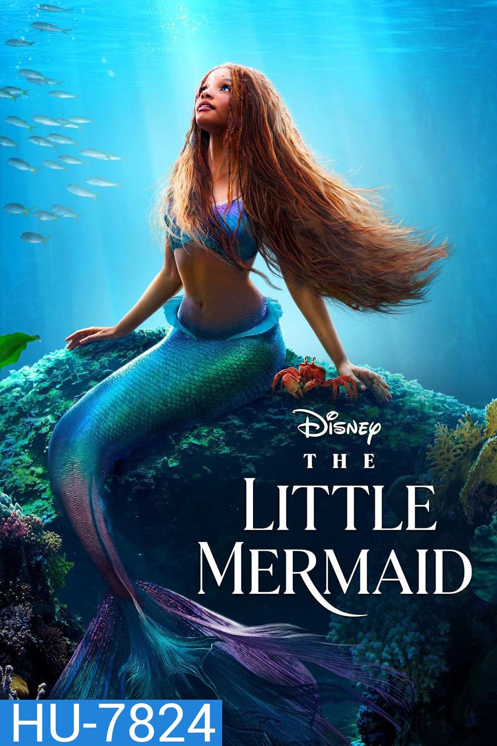 [ชนโรง!..ชัด + V.2 - ดูรูปตัวอย่างด้านล่าง ] The Little Mermaid (2023) เงือกน้อยผจญภัย