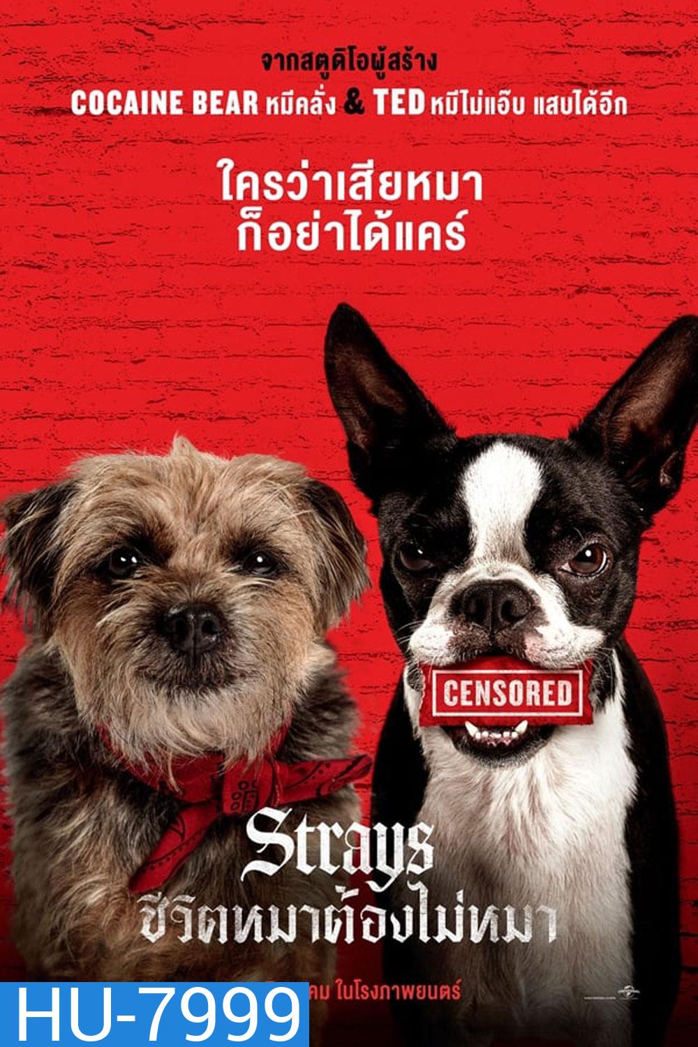 Strays (2023)ชีวิตหมาต้องไม่หมา