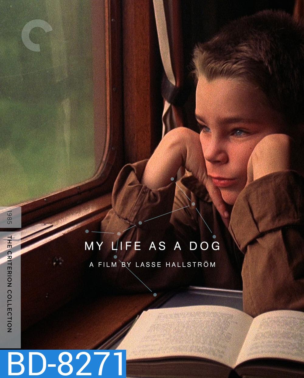 My Life As a Dog (1985)