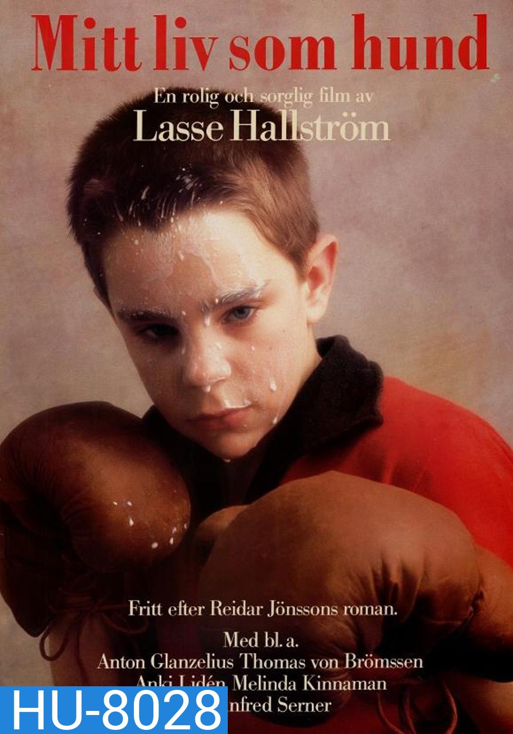 My Life As a Dog {1985}