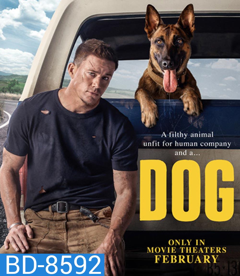 DOG ด็อก เพื่อนกันพันธุ์ห้าว (2022)