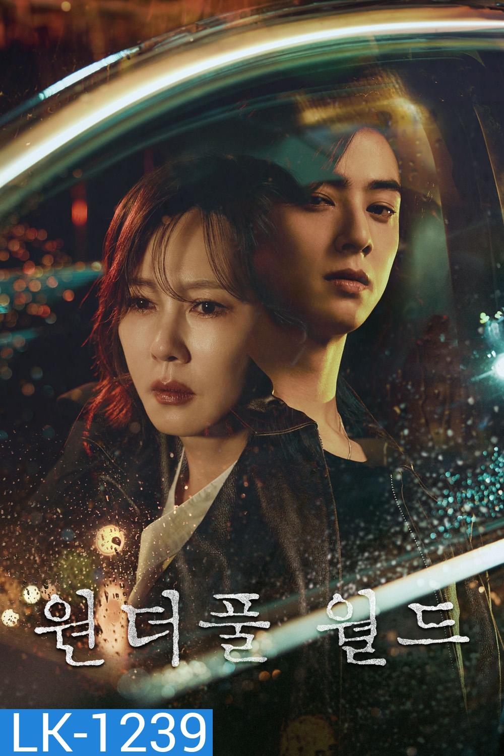 Wonderful World (2024) 14 ตอน