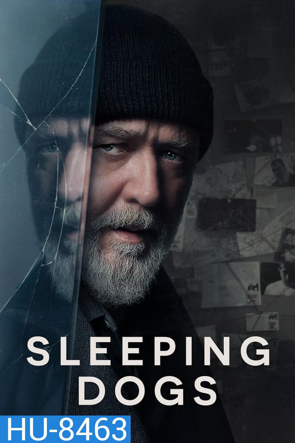 Sleeping Dogs อย่าแหย่หมาหลับ (2024)