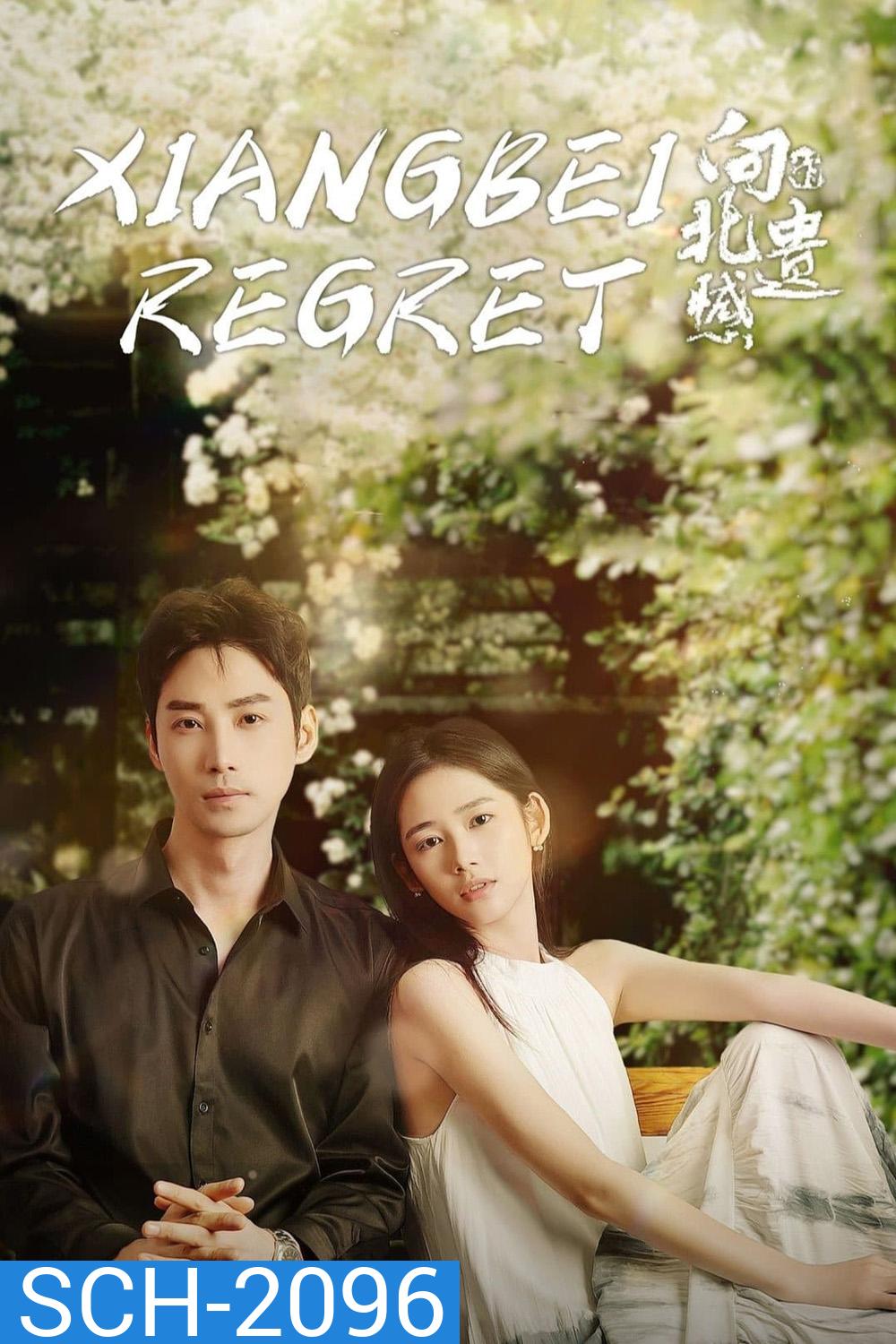 Xiangbei Regret เกสต์เฮาส์เยียวยารัก (2024) EP01-EP20End