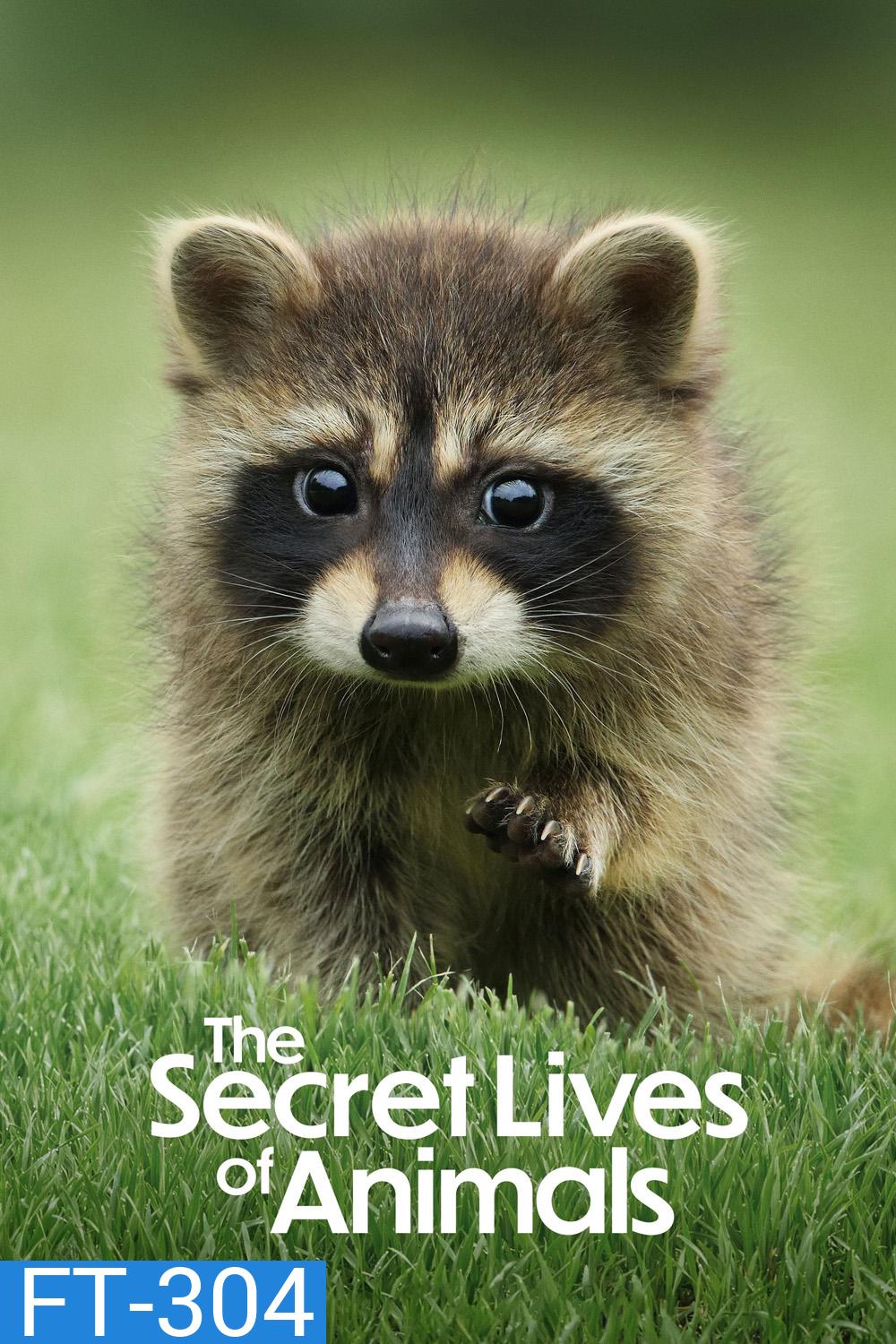 The Secret Lives of Animals (2024) 10 ตอน