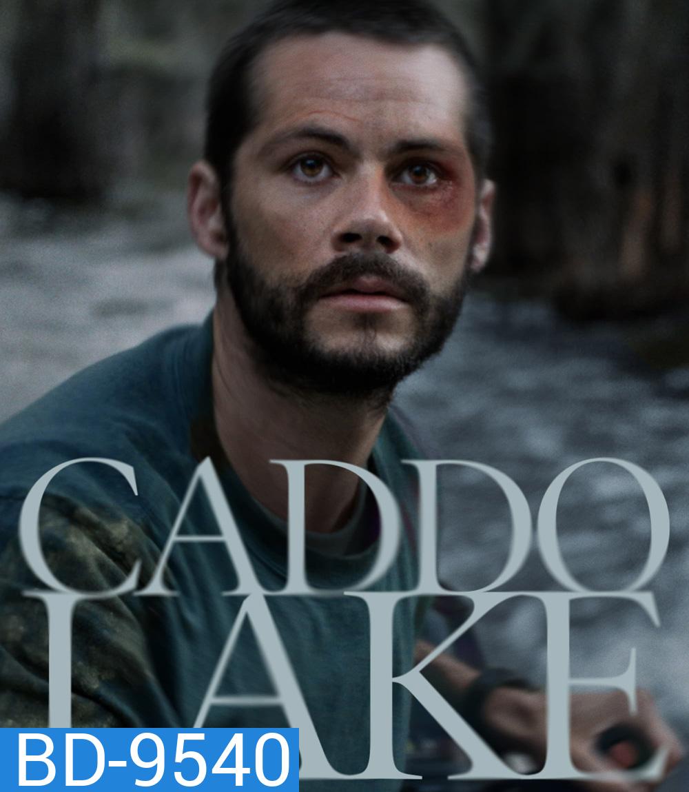 Caddo Lake บึงลี้ลับ (2024)
