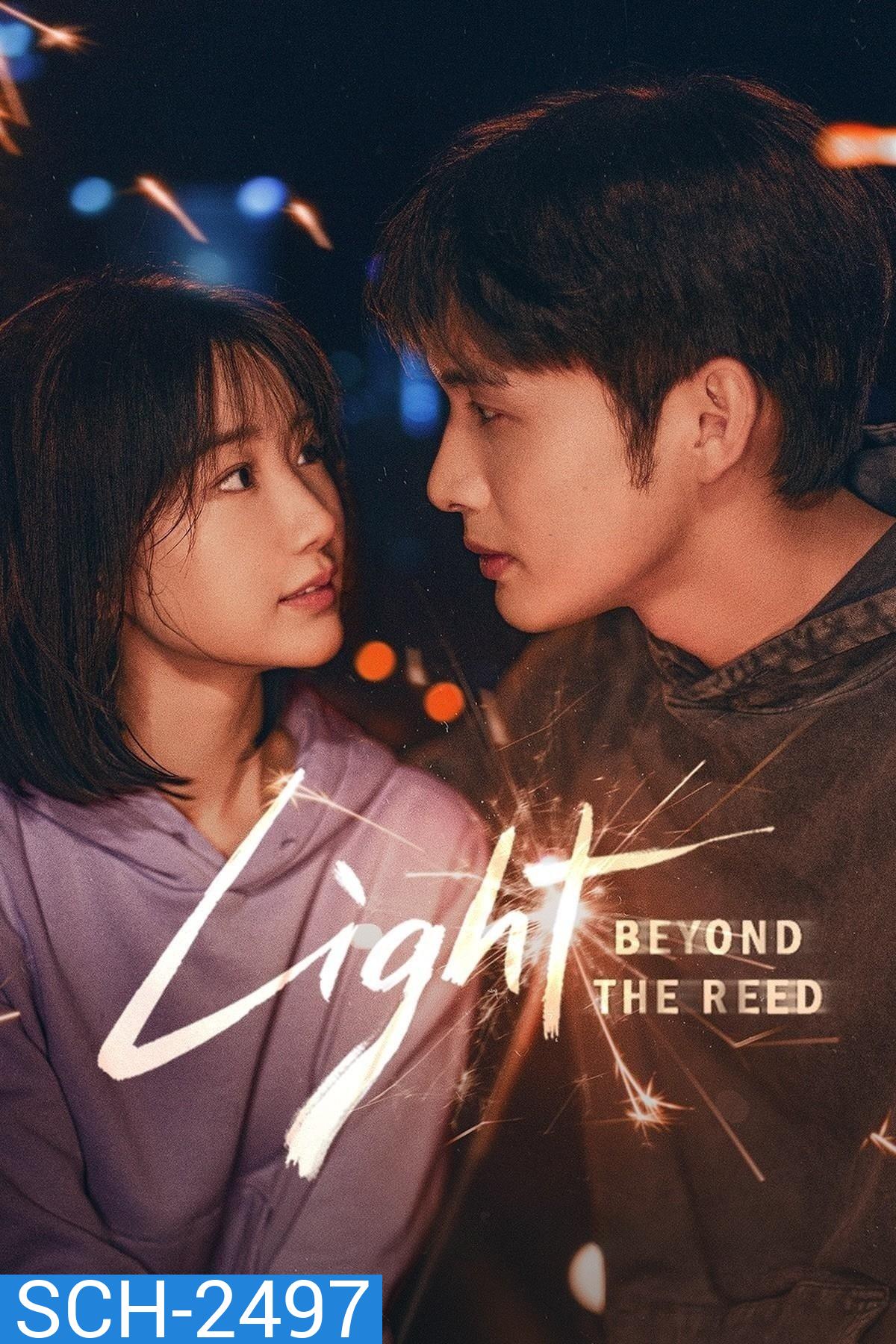 Light Beyond the Reed แสงรักส่องปลายฟ้า (2025) 18 ตอนจบ