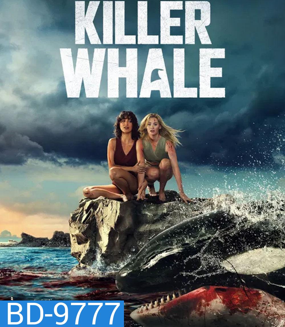 Killer Whale (2026)