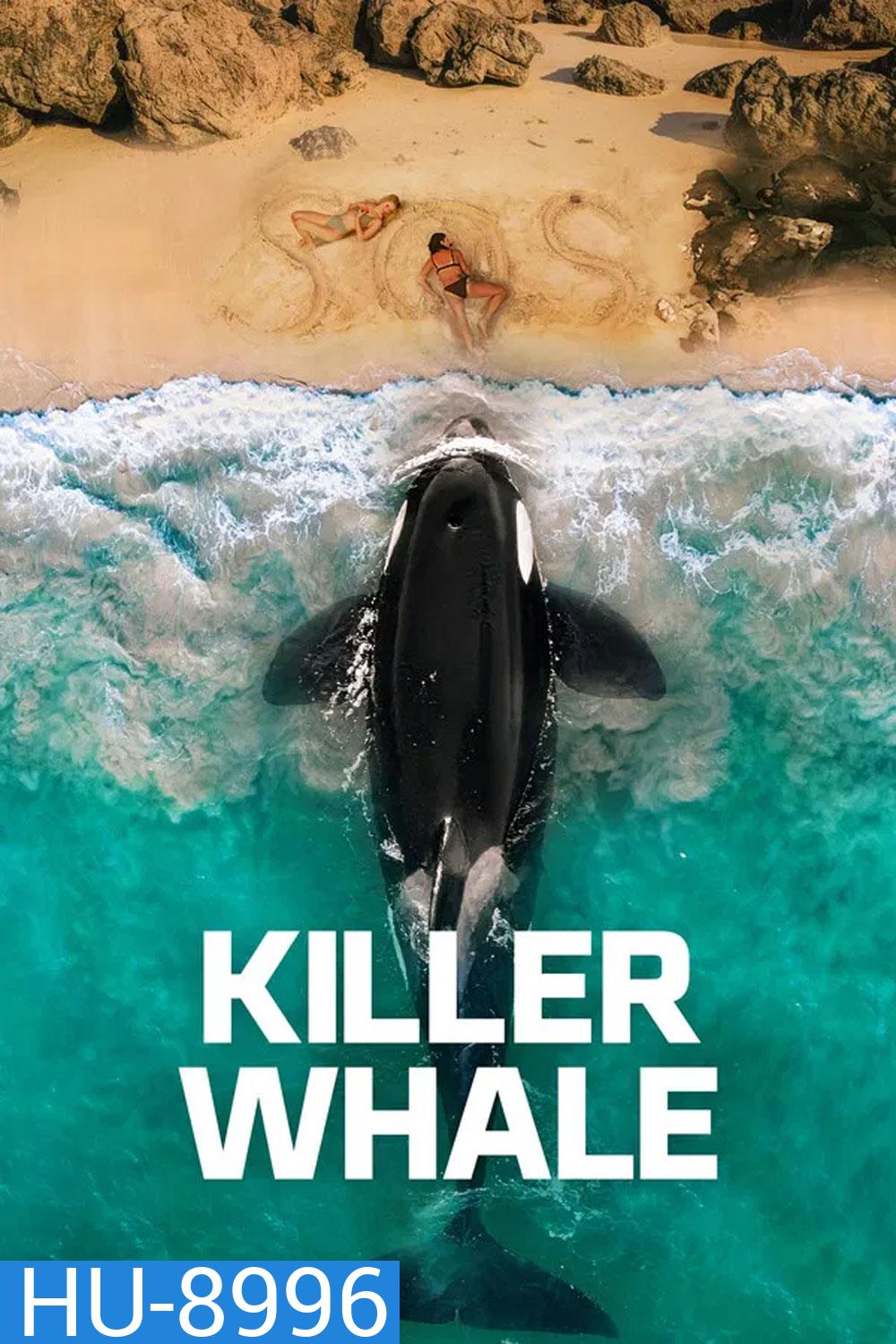 Killer Whale (2026)
