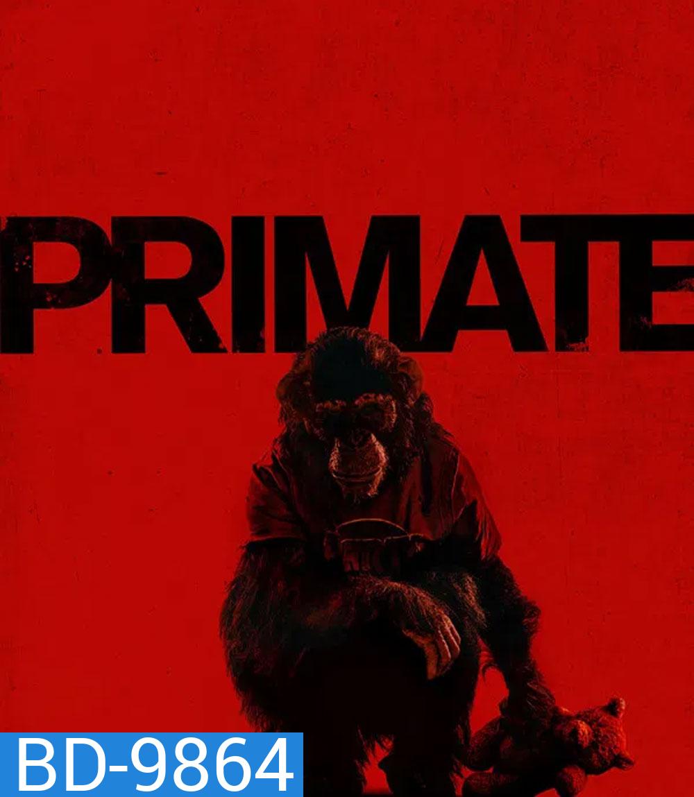 Primate (2026) ลิงคลั่งพันธุ์ดิบ
