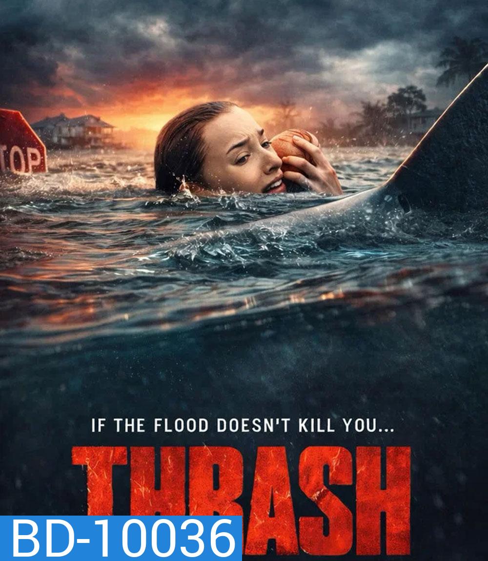 Thrash (2026) ฉลามคลั่ง ทะเลเดือด