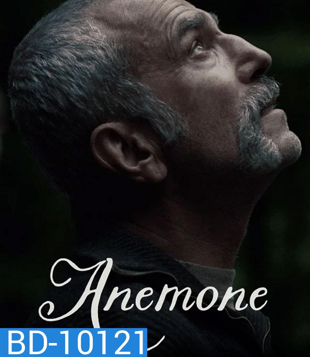 Anemone (2025) อะนีโมนี