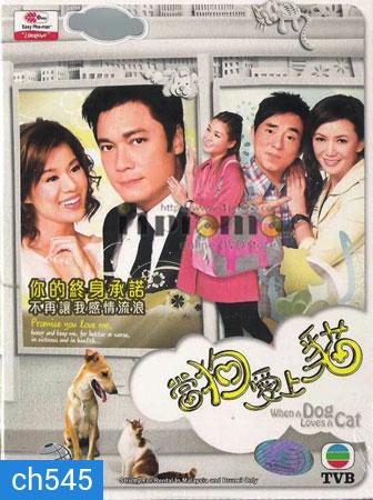 สายใยรักเจ้าโฮ่งน้อย When A Dog Loves A Cat (หลอเจียเหลียง หูซินเอ๋อ)